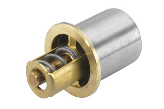 Obrázok Termostat chladenia oleja BorgWarner (Wahler)  462282D0