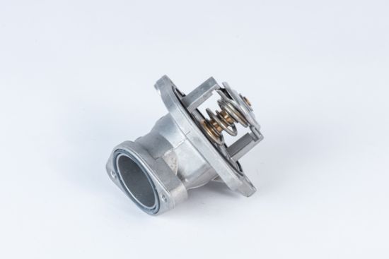 Obrázok Termostat chladenia BorgWarner (Wahler)  483287D