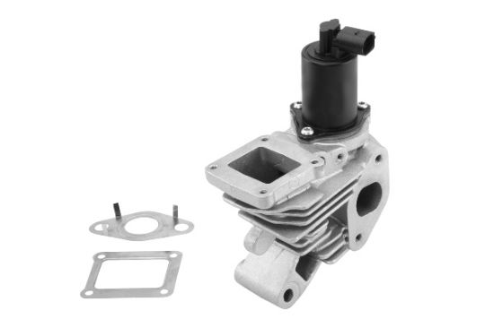 Obrázok AGR - Ventil BorgWarner (Wahler)  7206D