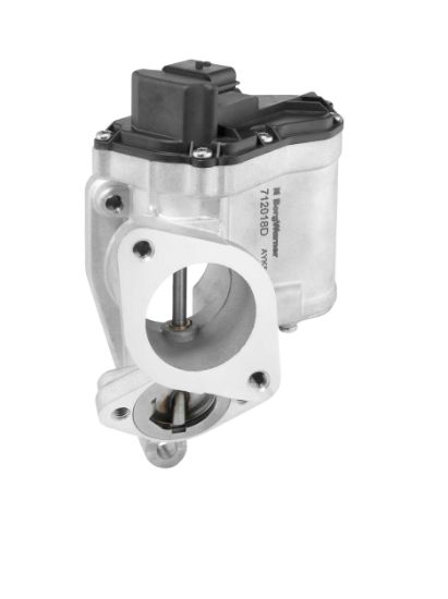 Obrázok AGR - Ventil BorgWarner (Wahler)  712018D
