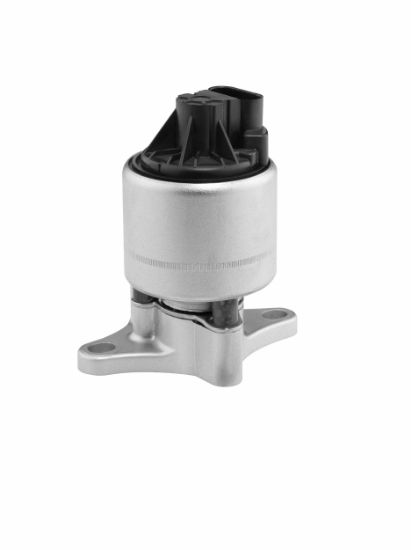 Obrázok AGR - Ventil BorgWarner (Wahler)  712051D