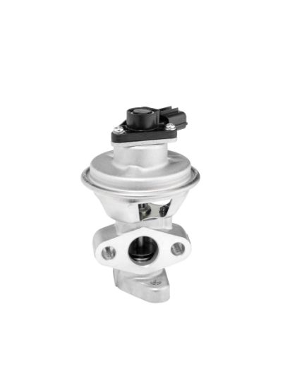 Obrázok AGR - Ventil BorgWarner (Wahler)  712063D