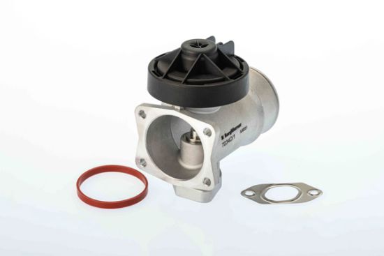 Obrázok AGR - Ventil BorgWarner (Wahler) OE-Version/Genuine 7234D