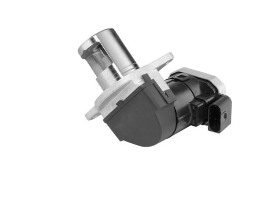 Obrázok AGR - Ventil BorgWarner (Wahler)  7389D1