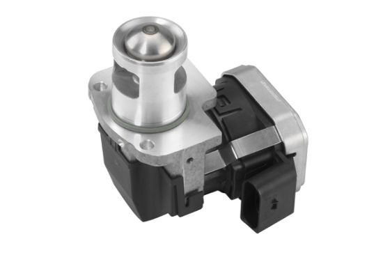 Obrázok AGR - Ventil BorgWarner (Wahler)  7557D