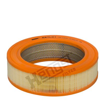Obrázok Vzduchový filter HENGST FILTER  E87L01