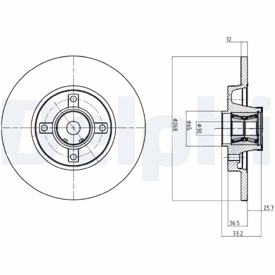 Obrázok Brzdový kotúč DELPHI  BG9053RS