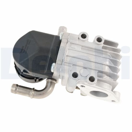 Obrázok AGR - Ventil DELPHI  EG1064312B1