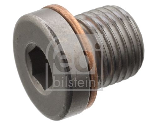 Obrázok Uzatváracia skrutka FEBI BILSTEIN  101021