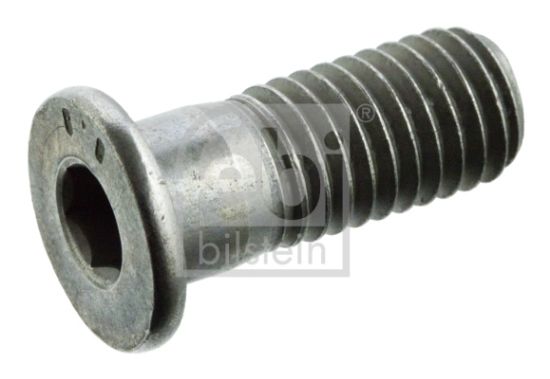 Obrázok Skrutka brzdového kotúča FEBI BILSTEIN  01893