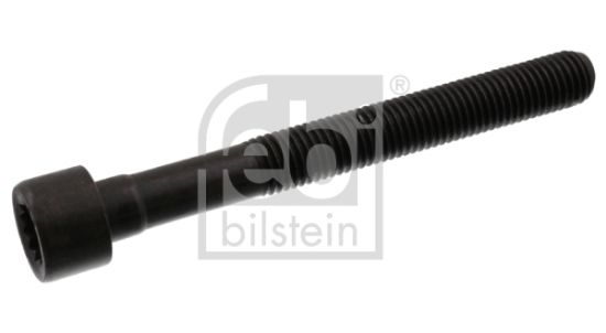 Obrázok Skrutka hlavy valcov FEBI BILSTEIN  07978