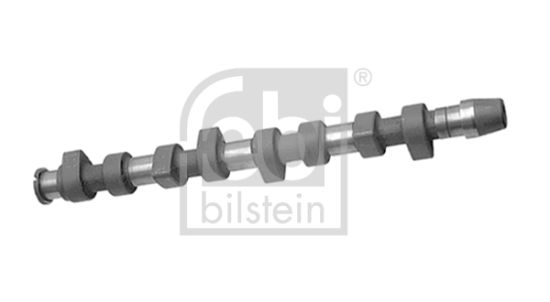 Obrázok Vačkový hriadeľ FEBI BILSTEIN  10006