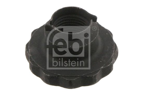Obrázok Matica koncového čapu nápravy FEBI BILSTEIN  46689