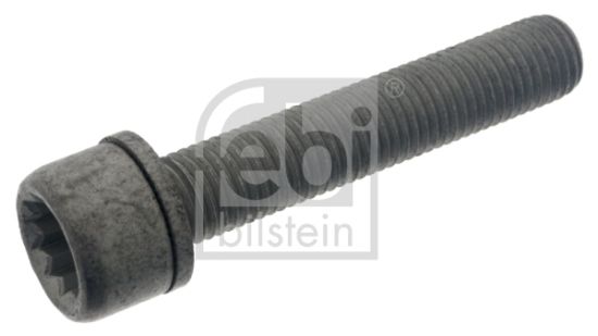Obrázok Skrutka brzdového strmeňa FEBI BILSTEIN  48817