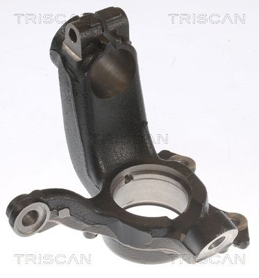 Obrázok Čap nápravy zavesenia kolies TRISCAN  850029721