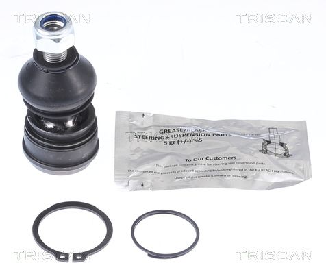 Obrázok Zvislý/nosný čap TRISCAN  850042561
