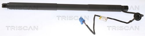 Obrázok Pneumatická prużina, Batożinový/nákladný priestor TRISCAN  871023304