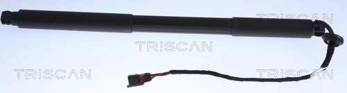 Obrázok Pneumatická prużina, Batożinový/nákladný priestor TRISCAN  871027301