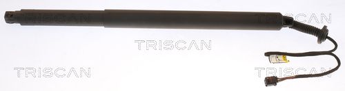 Obrázok Pneumatická prużina, Batożinový/nákladný priestor TRISCAN  871027303