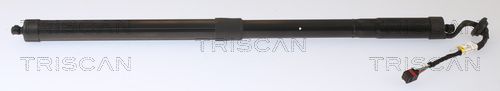 Obrázok Pneumatická prużina, Batożinový/nákladný priestor TRISCAN  871027307