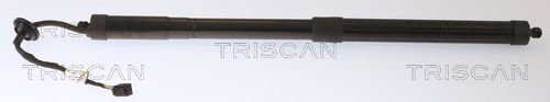 Obrázok Pneumatická prużina, Batożinový/nákladný priestor TRISCAN  871027308