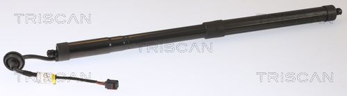 Obrázok Pneumatická prużina, Batożinový/nákladný priestor TRISCAN  871027309