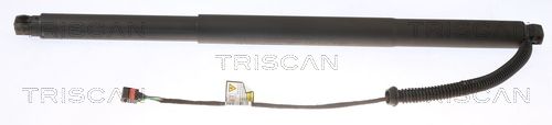 Obrázok Pneumatická prużina, Batożinový/nákladný priestor TRISCAN  871029304