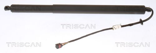 Obrázok Pneumatická prużina, Batożinový/nákladný priestor TRISCAN  871043301