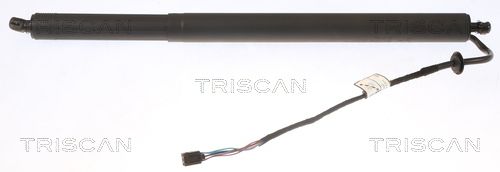 Obrázok Pneumatická prużina, Batożinový/nákladný priestor TRISCAN  871043302