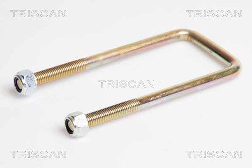 Obrázok Spona listovej prużiny TRISCAN  8765140004