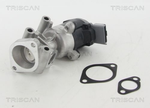 Obrázok AGR - Ventil TRISCAN  881310009