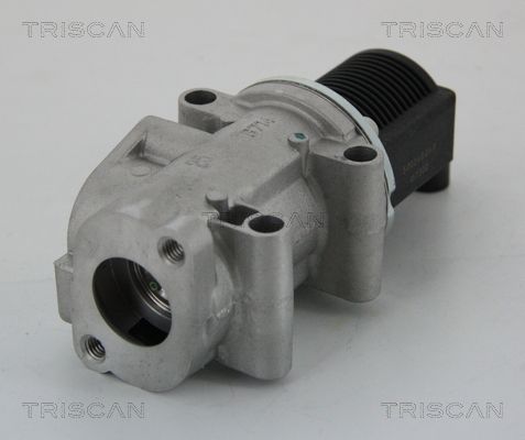 Obrázok AGR - Ventil TRISCAN  881315032