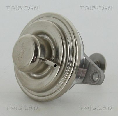 Obrázok AGR - Ventil TRISCAN  881324054