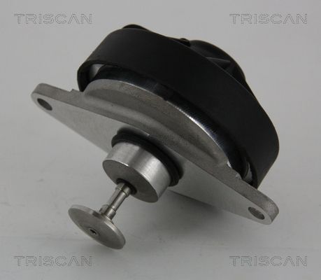 Obrázok AGR - Ventil TRISCAN  881324202