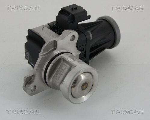Obrázok AGR - Ventil TRISCAN  881328005