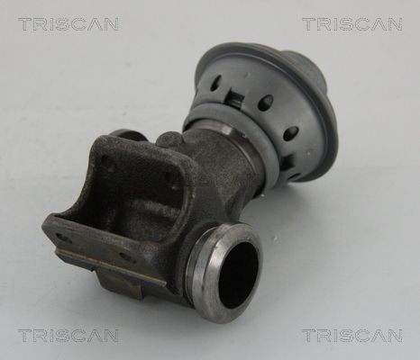 Obrázok AGR - Ventil TRISCAN  881328013