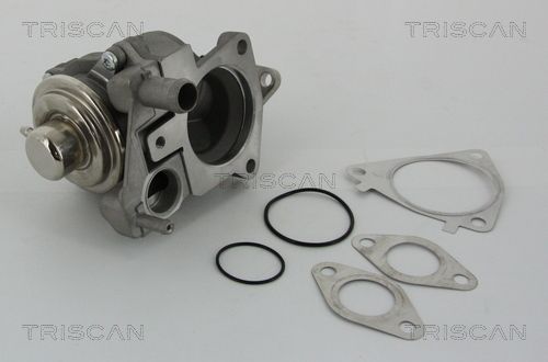 Obrázok AGR - Ventil TRISCAN  881328019