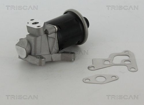 Obrázok AGR - Ventil TRISCAN  881329100
