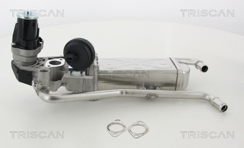 Obrázok AGR - Ventil TRISCAN  881329330