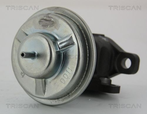 Obrázok AGR - Ventil TRISCAN  881343003