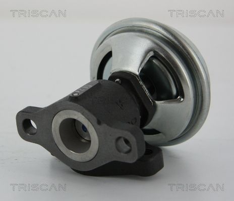 Obrázok AGR - Ventil TRISCAN  881343005