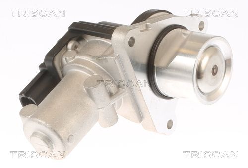 Obrázok AGR - Ventil TRISCAN  881343010