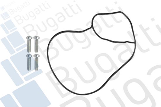 Obrázok Vodné čerpadlo, chladenie motora BUGATTI  PA10225