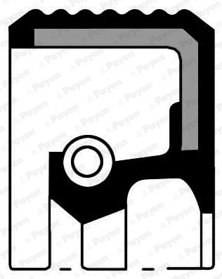 Obrázok Tesniaci krúżok vačkového hriadeľa PAYEN  NF846