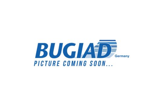 Obrázok Hadica plniaceho vzduchu BUGIAD  82699