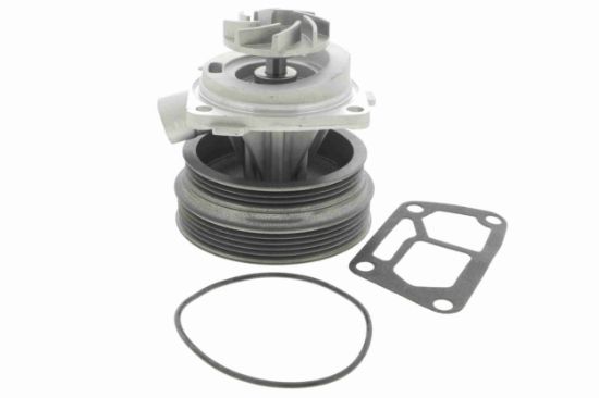 Obrázok Vodné čerpadlo, chladenie motora VAICO Original  Quality V2450007