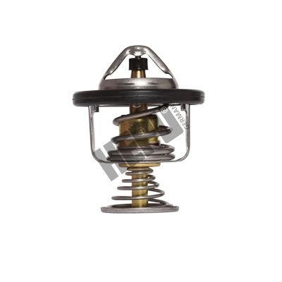 Obrázok Termostat chladenia HEPU  TM1287