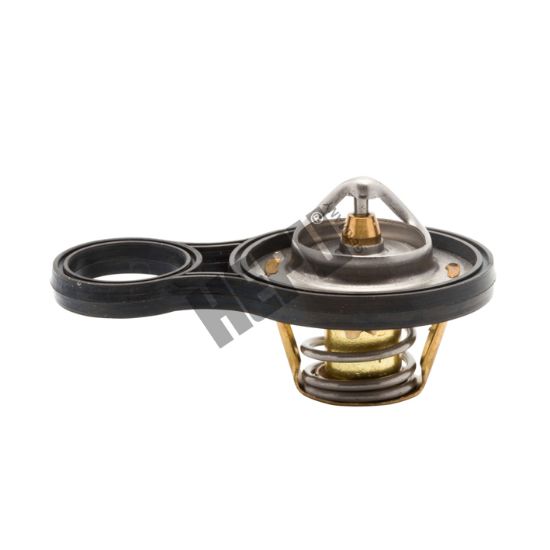 Obrázok Termostat chladenia HEPU  TM1293
