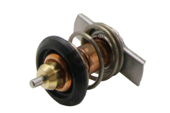 Obrázok Termostat chladenia HEPU  TM1350
