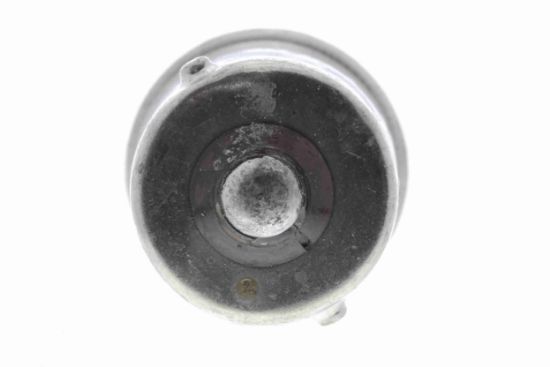 Obrázok żiarovka VEMO Green Mobility Parts V99840004